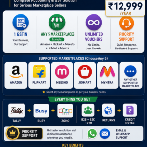 Professional Plan – GST & Reconciliation Automation (5 marketplaces)