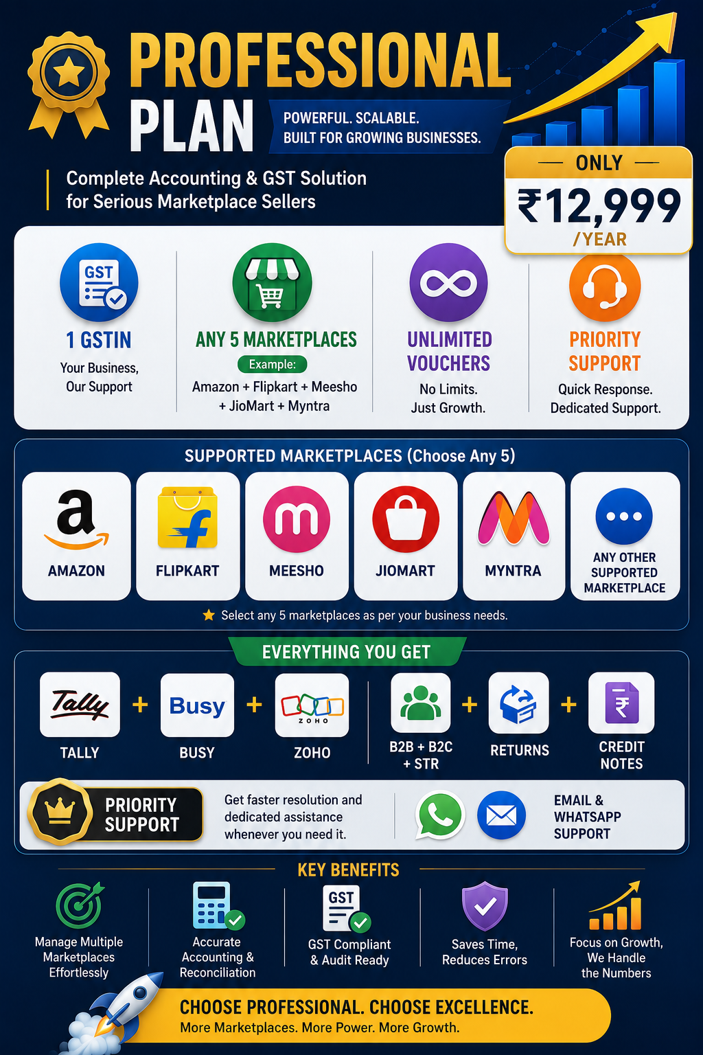 Professional Plan – GST & Reconciliation Automation (5 marketplaces)